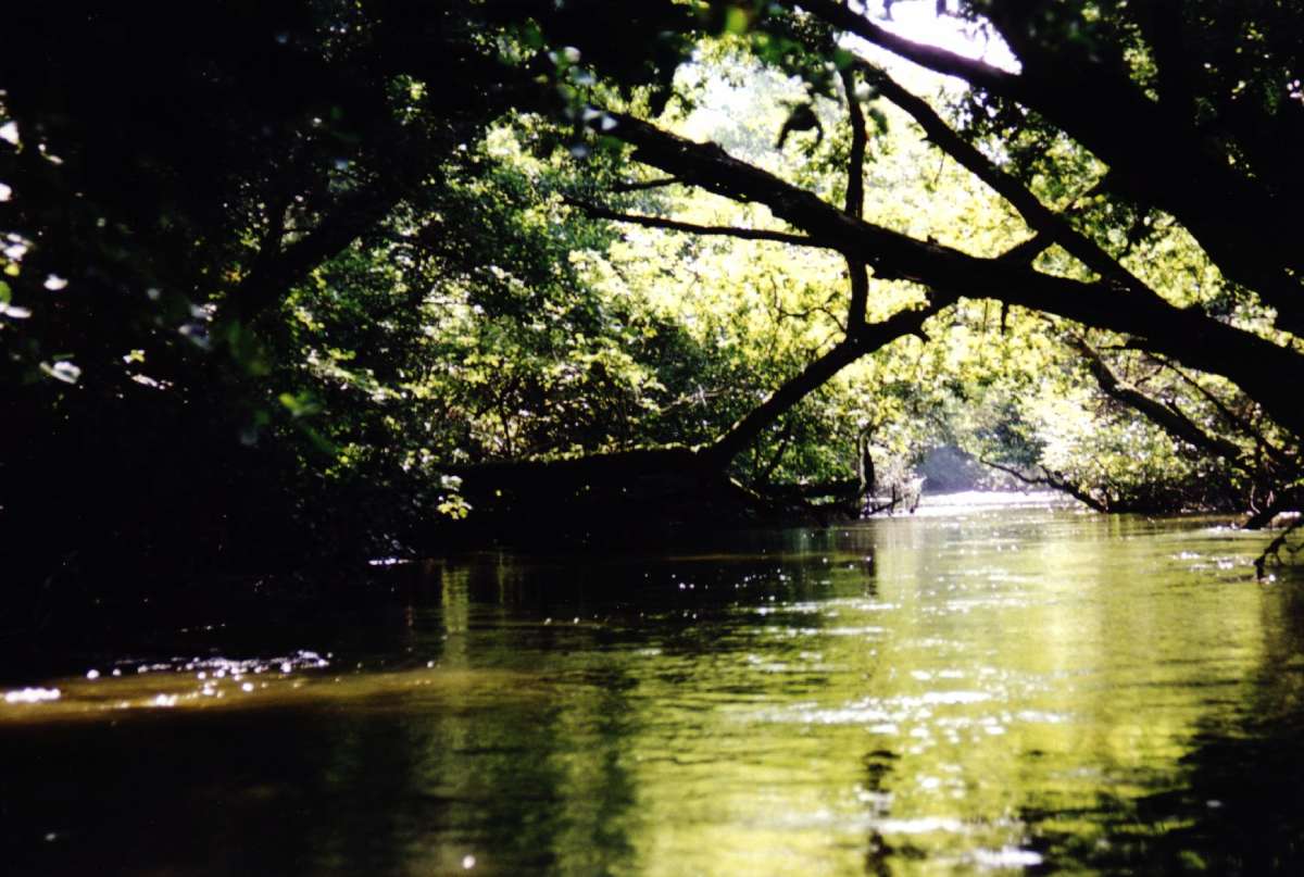 camping courant d'huchet cours d'eau