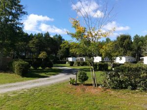 camping Landes pas cher