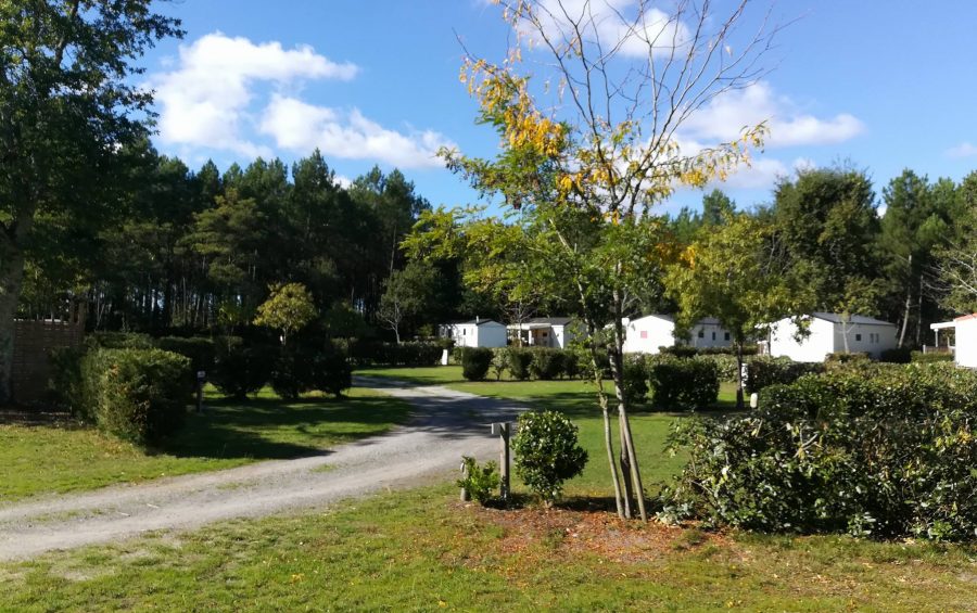 camping Landes pas cher